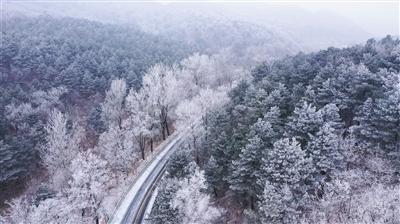刚生完宝宝五十天,得了性冷淡怎么办?,解答你的疑问